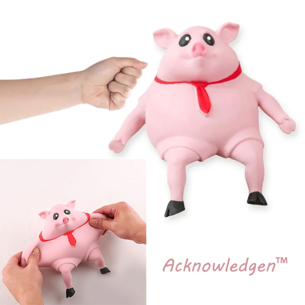 🔥Schweinchen Squeeze Toy | Acknowledgen